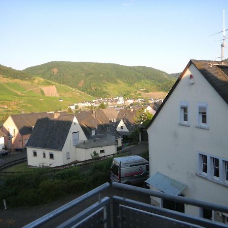 Ferienwohnung Bernkastel-Kues - Alte Rebschule Bagian luar foto
